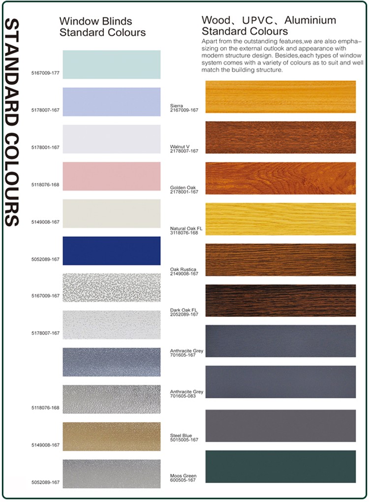 Color Customization Options
