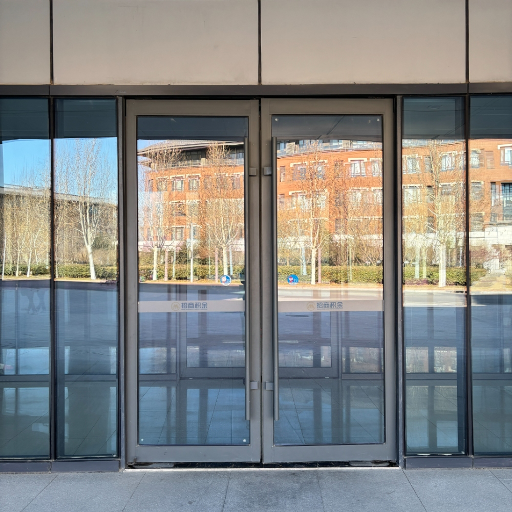 Commercial Front Entry Doors for Business Double Glazed Wind Proof Aluminum French Doors Exterior