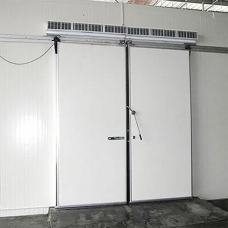 Cold Room Frameless Motor Sliding Door