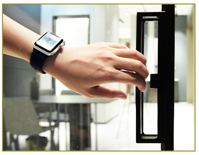 Minimalist back-shaped handle and lock