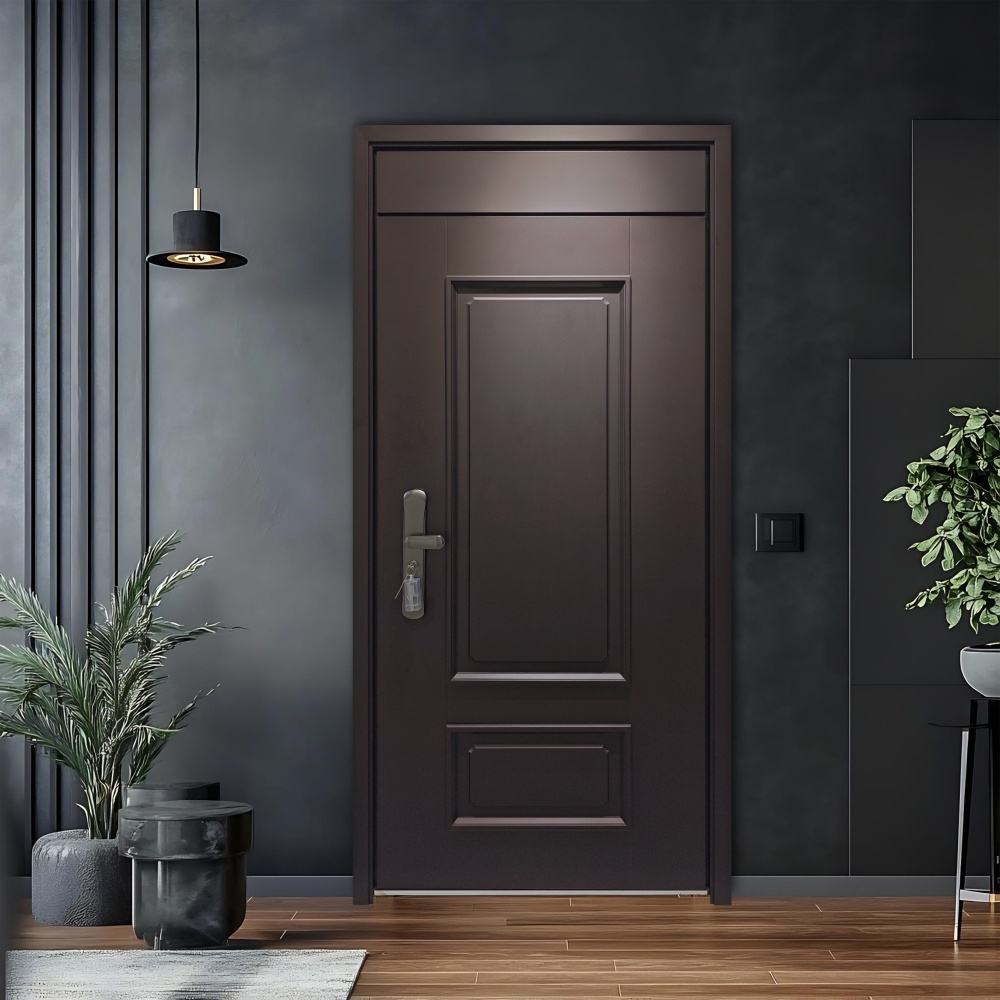 Modern Hinged Swing Exterior Entry Door