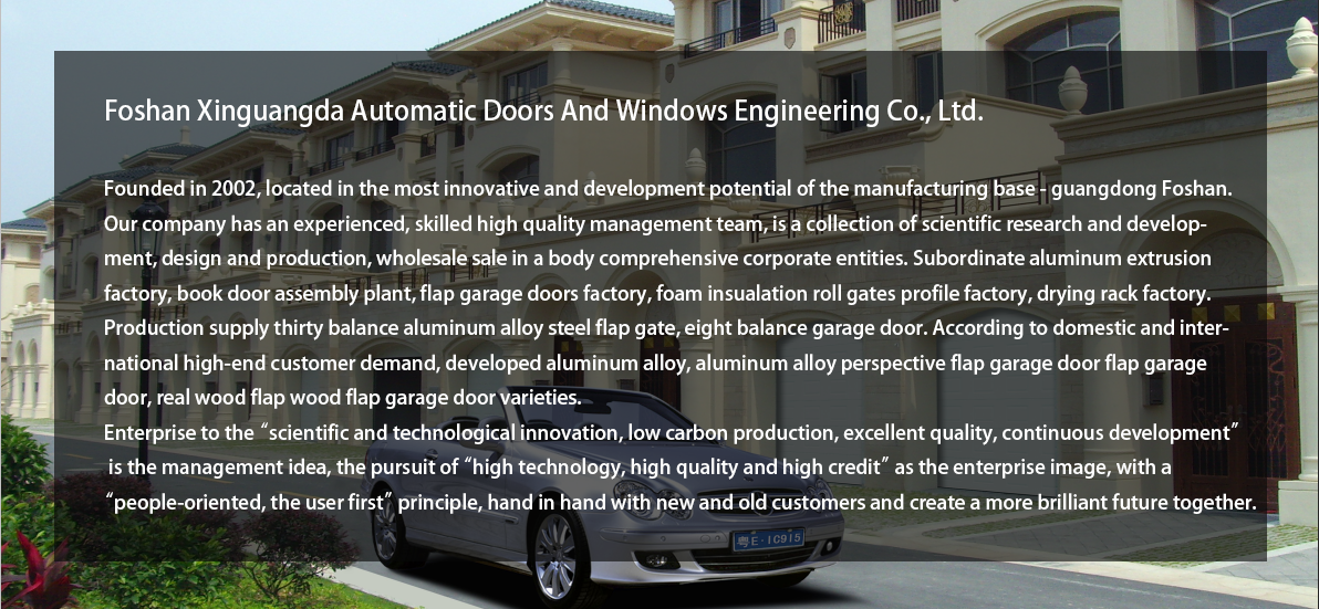 Our Company