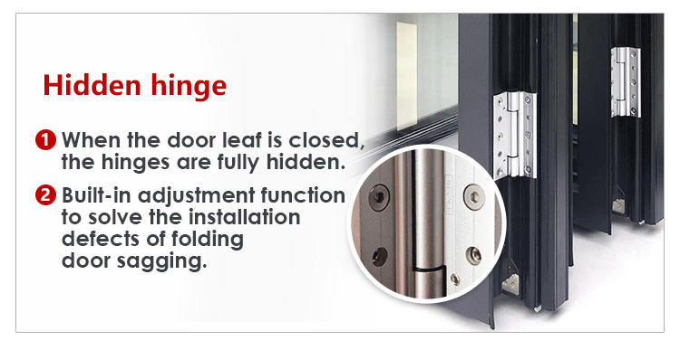 Folding Door Feature 2