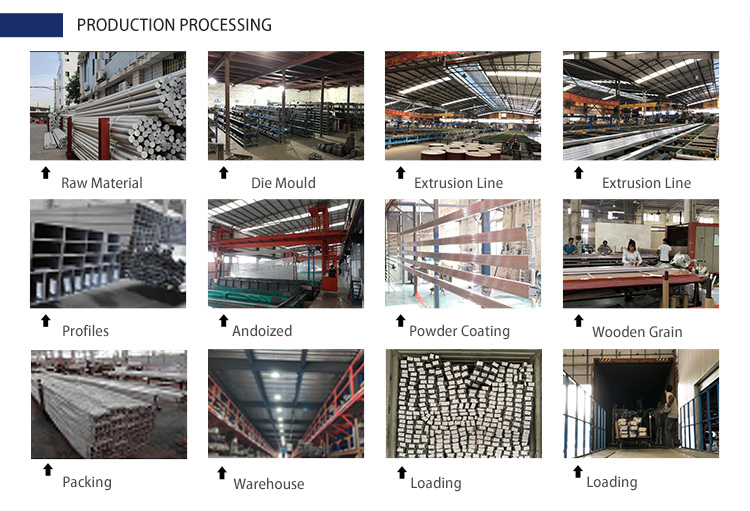 Company Profile