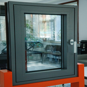 Customized Fire Rated Crittall Style Dormer Window