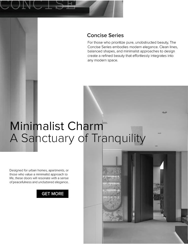 Modern aluminum security door finish details