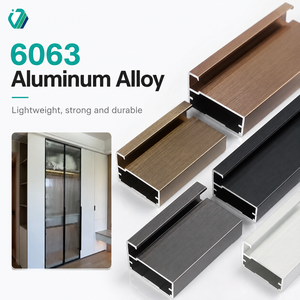 OEM 6000 Series Aluminum Extrusion Cabinet Door Profile
