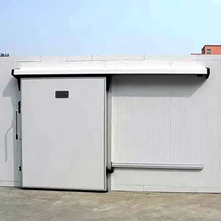 Cold Room Frameless Motor Sliding Door