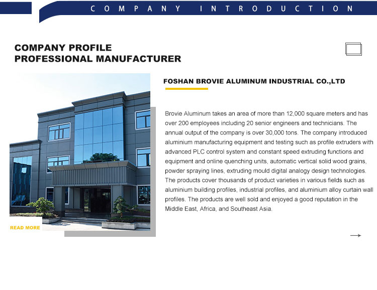Aluminium Alloy Slim Profile Glass Front Aluminum Frame Cabinet Doors