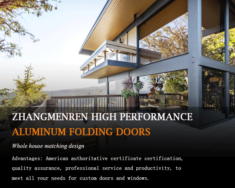 Aluminum Folding Door Overview