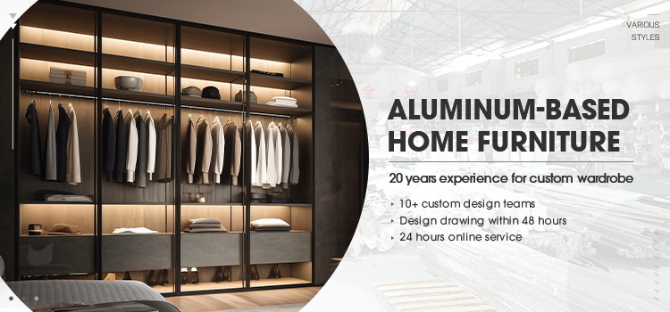 Minimalist Aluminum Flat Door Overview