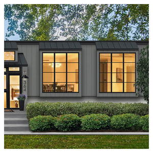 Hihaus Custom Black Crittall Aluminum Fixed Windows