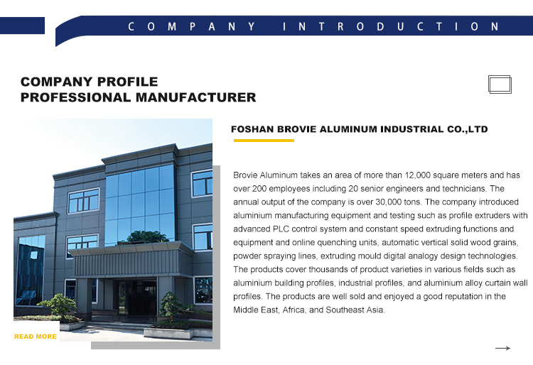 Company Profile