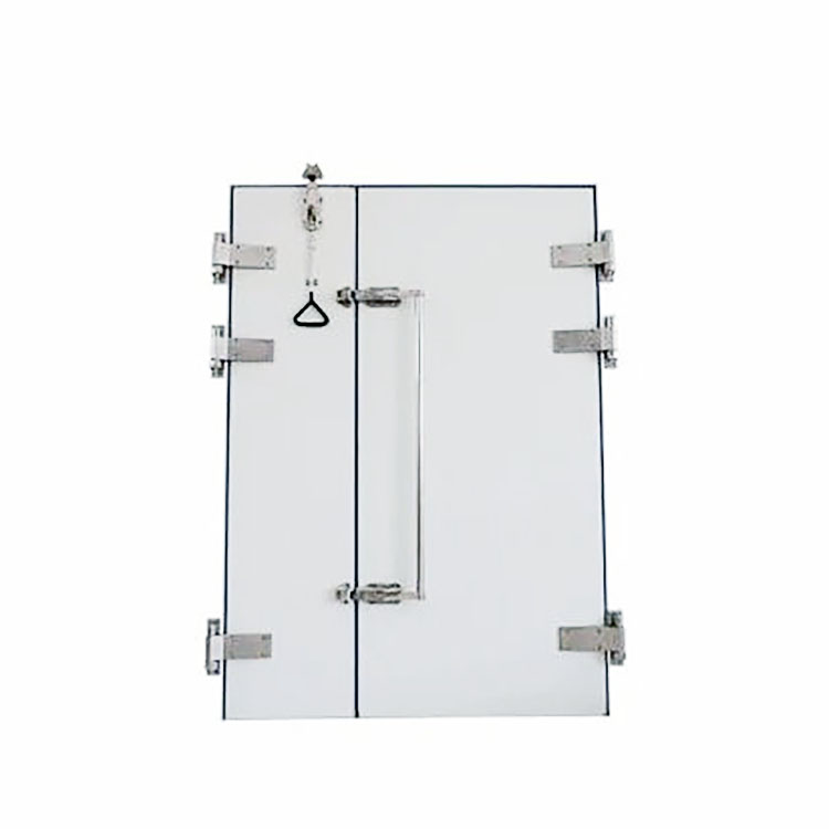Cold Room Frameless Motor Sliding Door